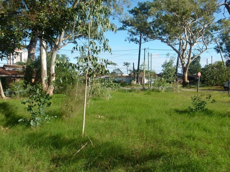 Terreno en venta en Mansa